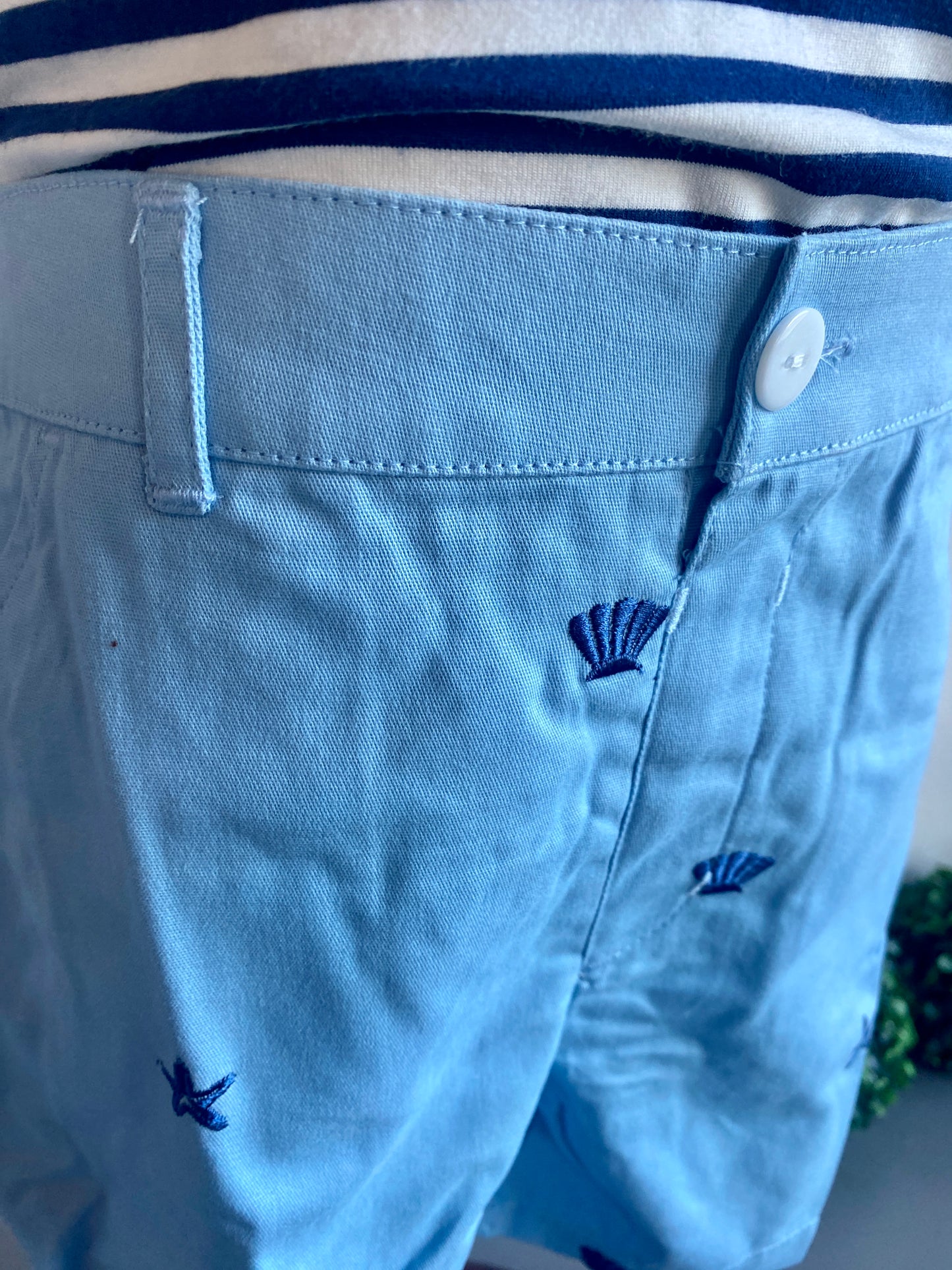 Beach Embroidered Shorts